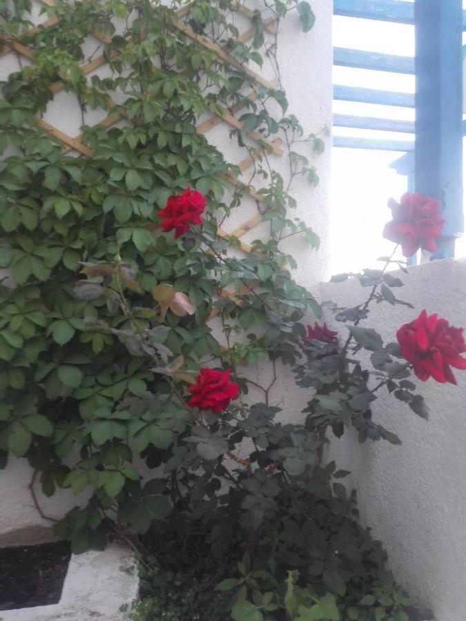 Poros Town Rania Studios מראה חיצוני תמונה